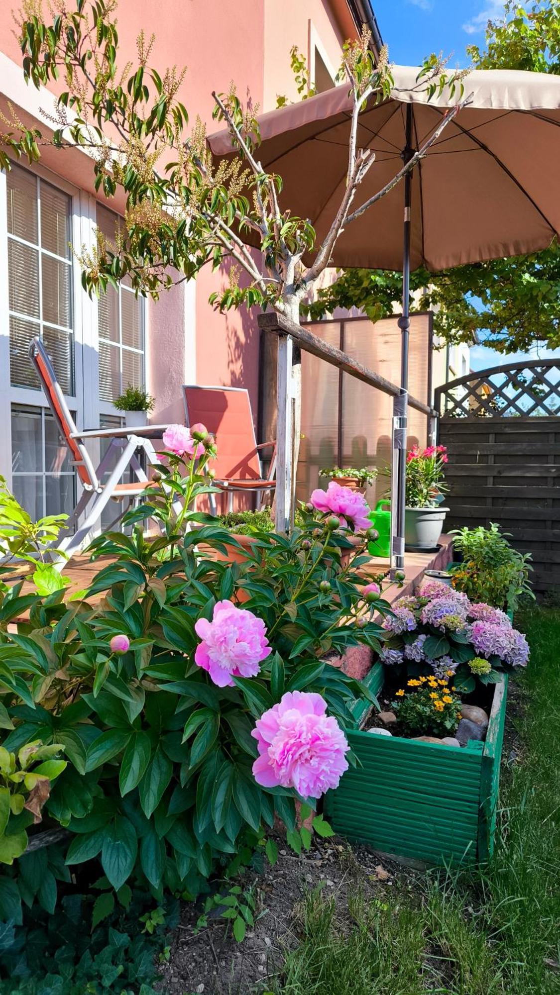 Pension Villa Marit Prag Dış mekan fotoğraf